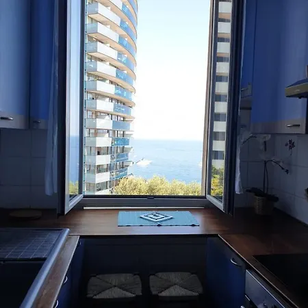 Angelina 보솔레이