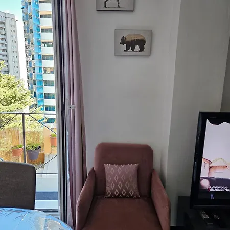 Angelina * 보솔레이