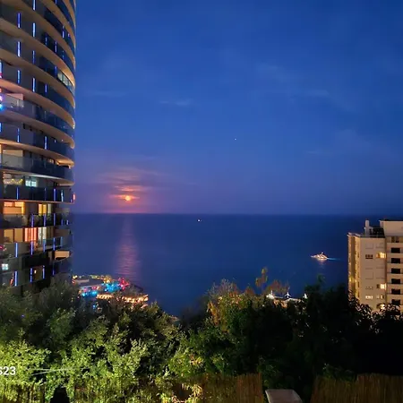 Angelina 보솔레이