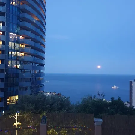 Angelina * 보솔레이